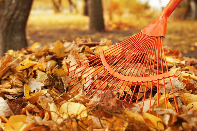 RAMASSAGE DES FEUILLES