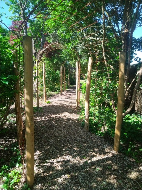 allee-jardin-arche-bois-amenagement-paysager