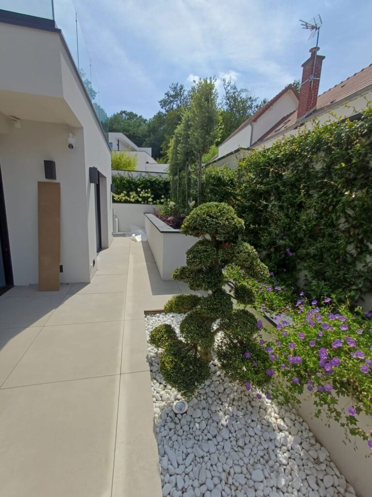 amenagement-cour-contemporaine-jardin-topiaire