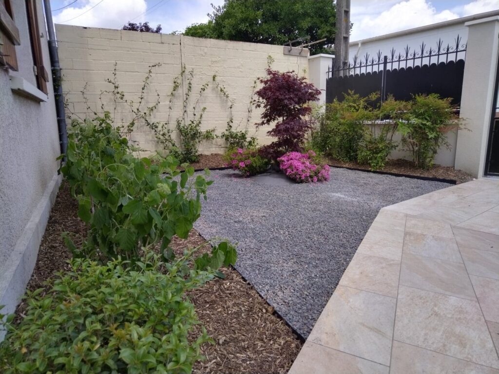 amenagement-cour-jardin-gravier-erable-japonais