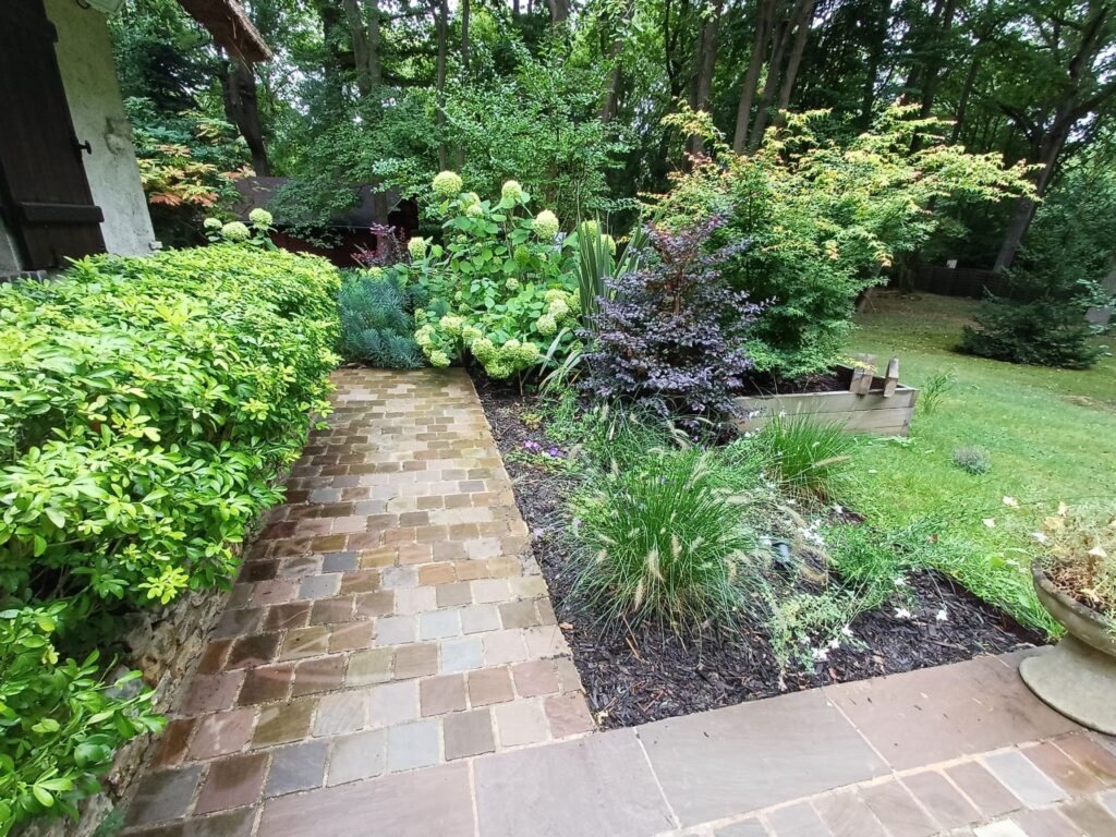 amenagement-jardin-arbore-massifs-paysagers