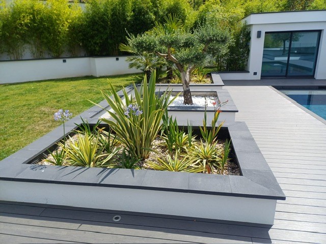 amenagement-paysager-autour-piscine-olivier