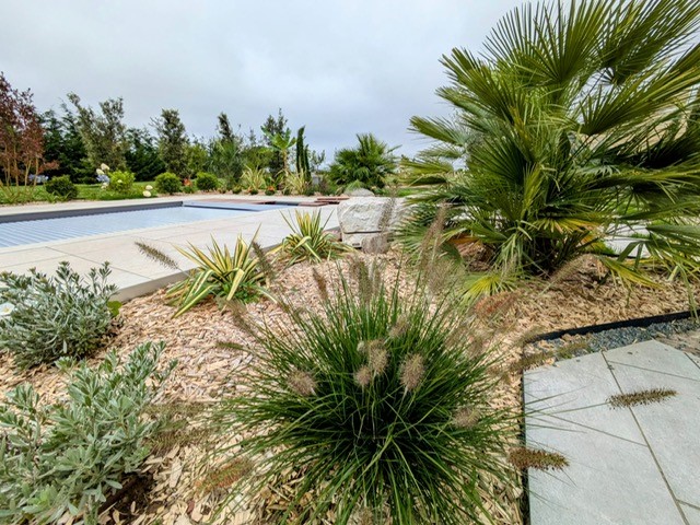 amenagement-paysager-autour-piscine