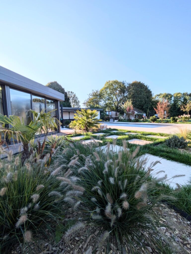 amenagement-paysager-piscine-graminees-palmiers