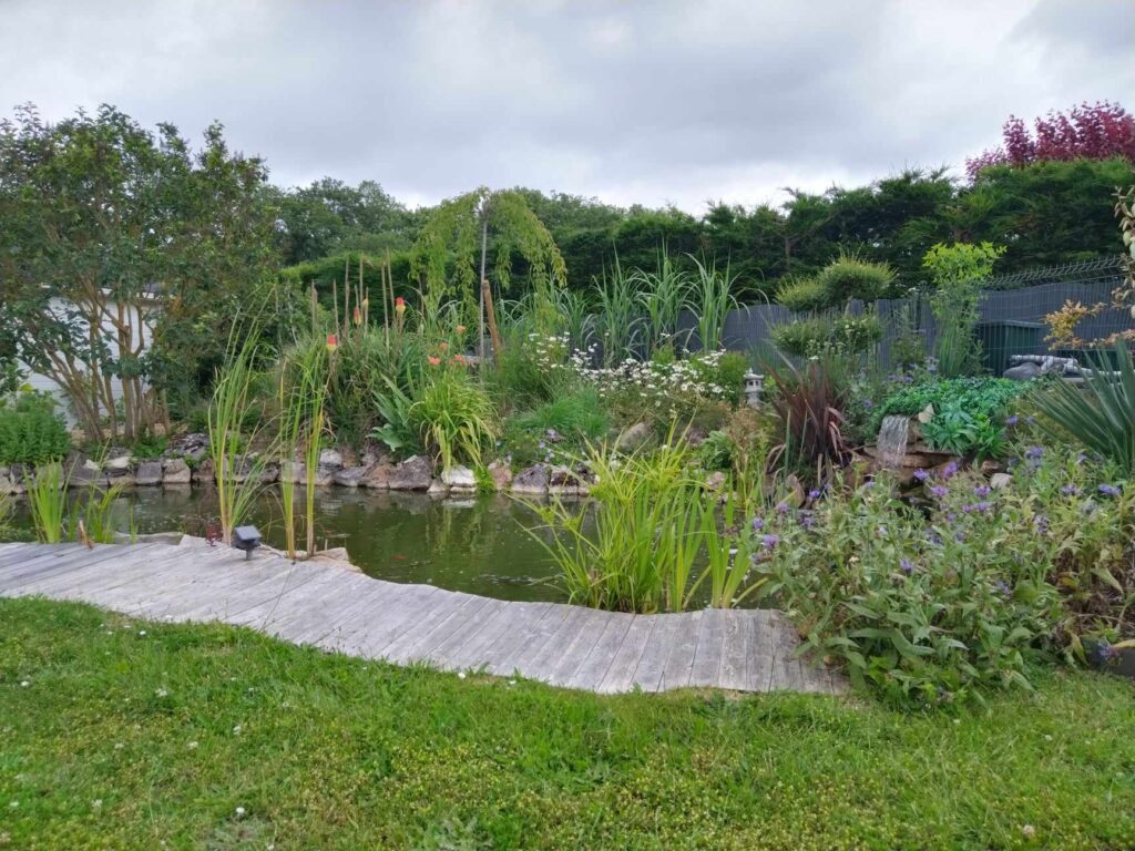 creation-bassin-naturel-jardin-paysager