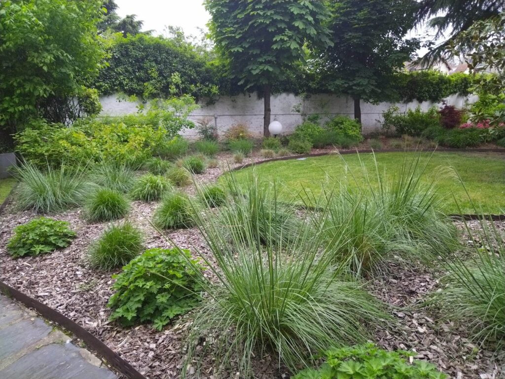 massif-graminees-amenagement-jardin